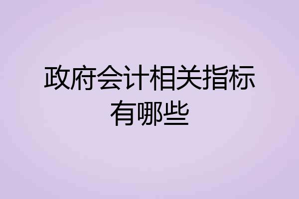 政府会计相关指标有哪些