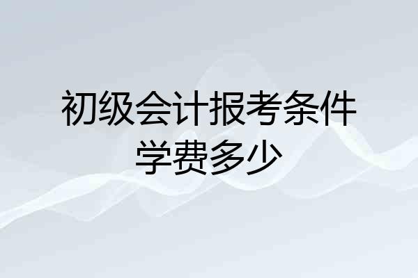 初级会计报考条件学费多少