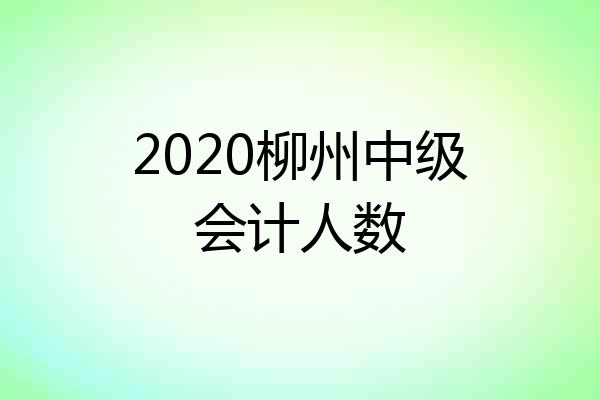 2020柳州中级会计人数