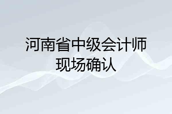 河南省中级会计师现场确认
