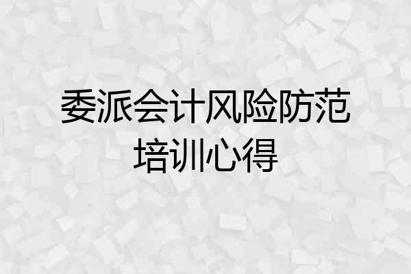 委派会计风险防范培训心得