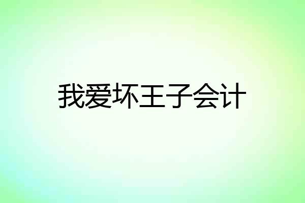 我爱坏王子会计