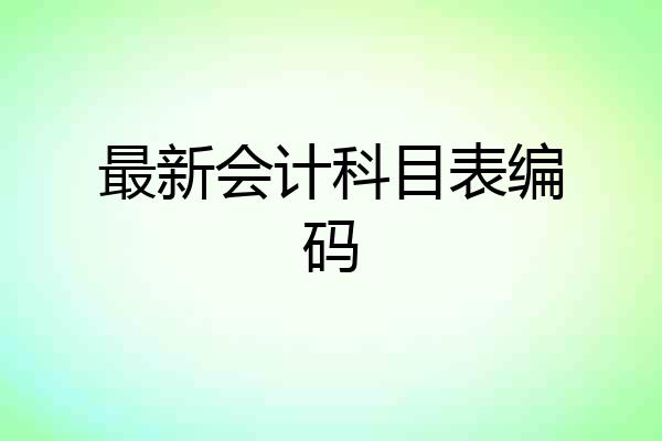 最新会计科目表编码