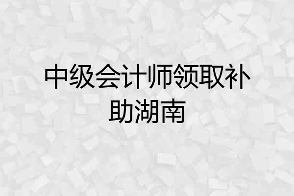 中级会计师领取补助湖南