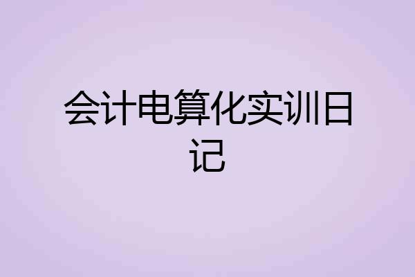 会计电算化实训日记