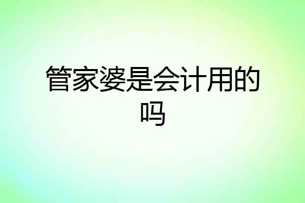 管家婆是会计用的吗