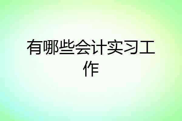 有哪些会计实习工作
