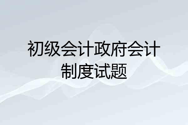 初级会计政府会计制度试题