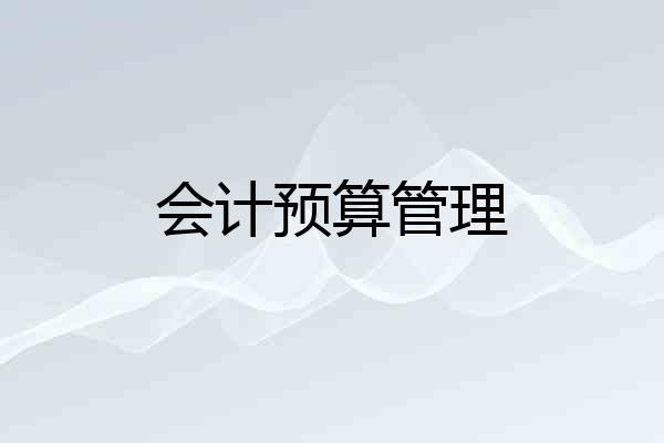 会计预算管理