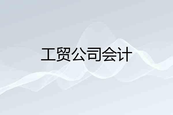 工贸公司会计