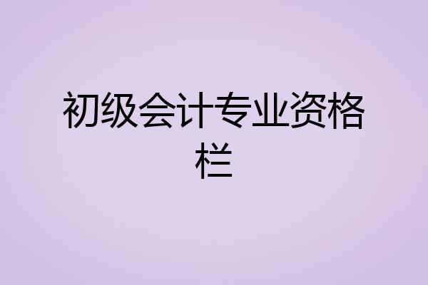 初级会计专业资格栏