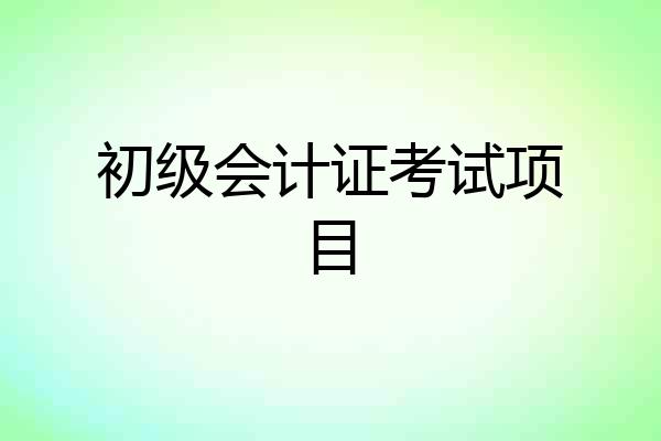 初级会计证考试项目
