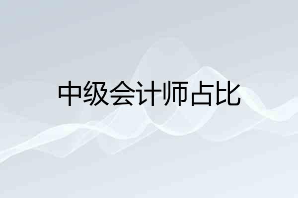 中级会计师占比