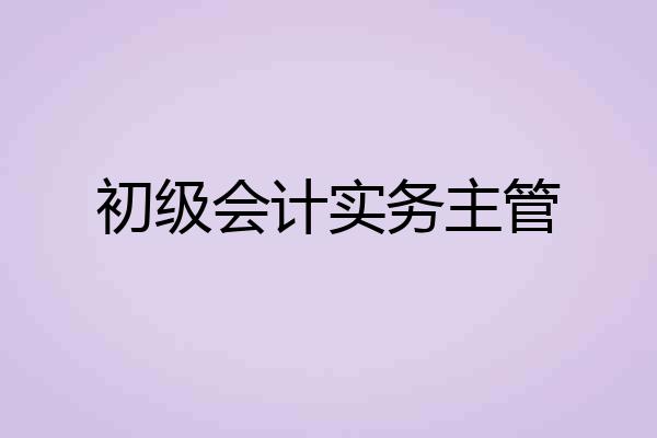 初级会计实务主管