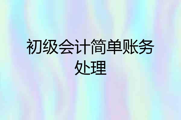 初级会计简单账务处理