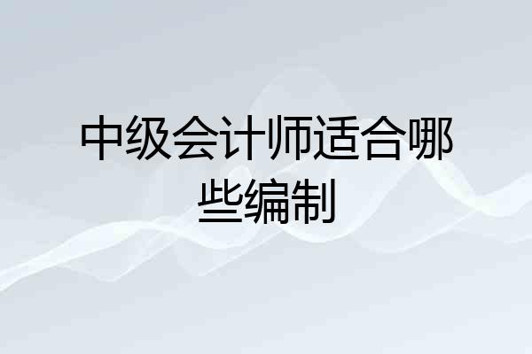 中级会计师适合哪些编制