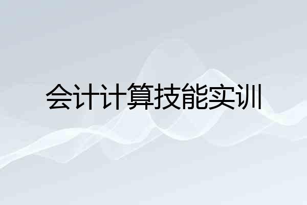 会计计算技能实训