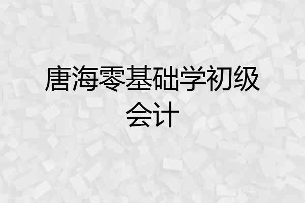 唐海零基础学初级会计