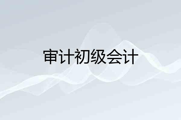 审计初级会计