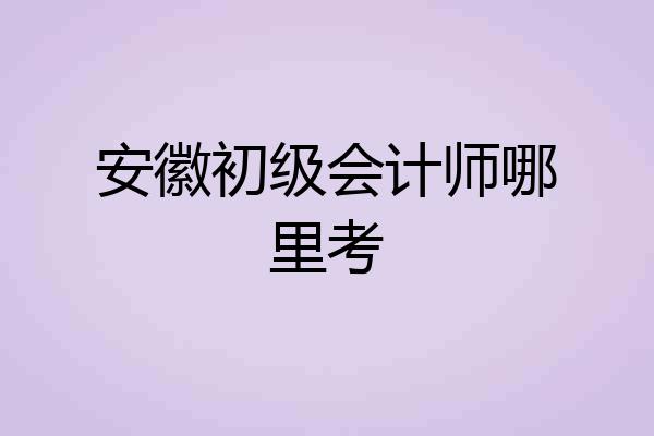安徽初级会计师哪里考