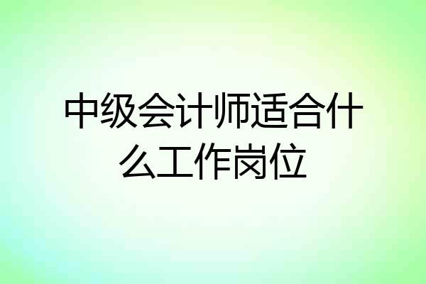 中级会计师适合什么工作岗位