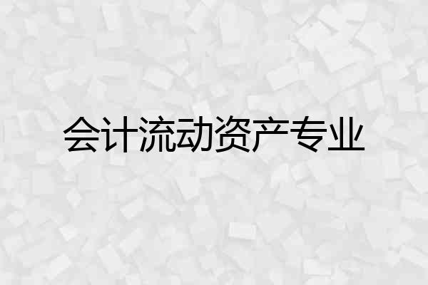 会计流动资产专业