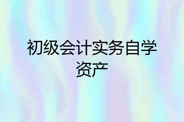初级会计实务自学资产