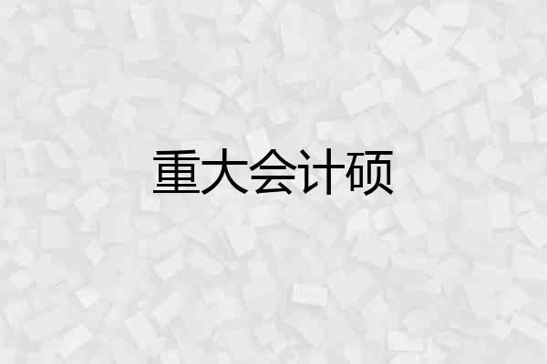 重大会计硕