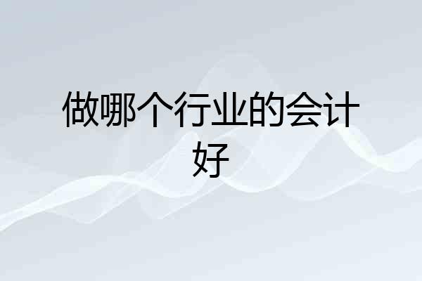 做哪个行业的会计好