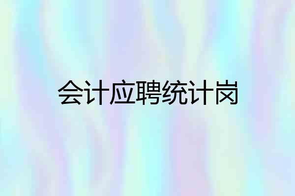 会计应聘统计岗