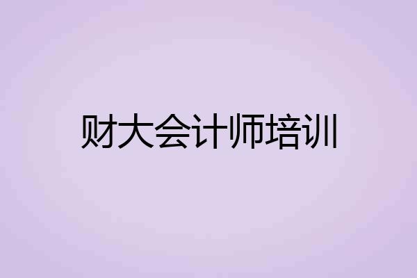 财大会计师培训