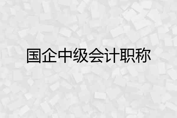 国企中级会计职称
