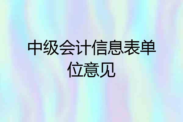 中级会计信息表单位意见