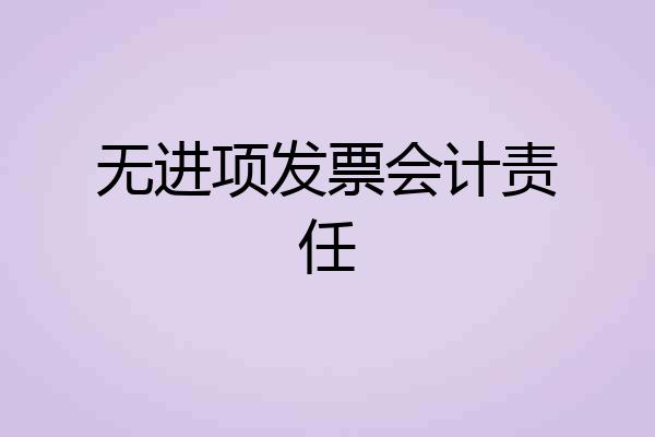 无进项发票会计责任