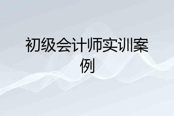 初级会计师实训案例