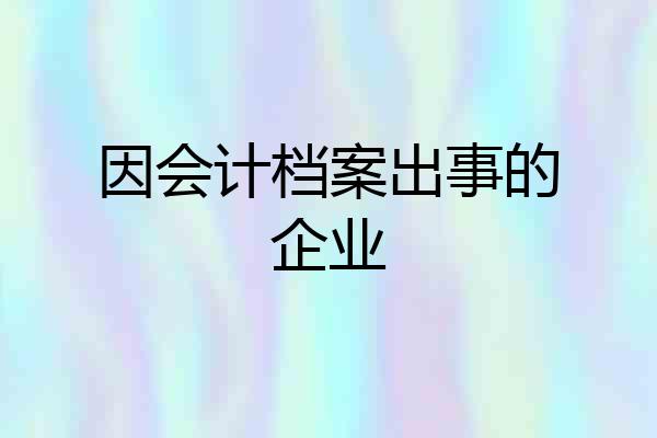 因会计档案出事的企业