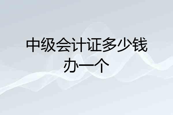 中级会计证多少钱办一个