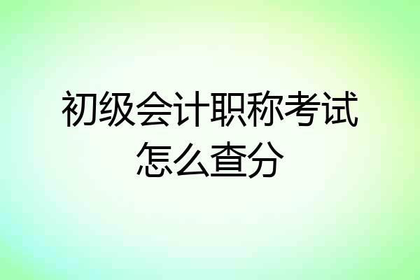初级会计职称考试怎么查分