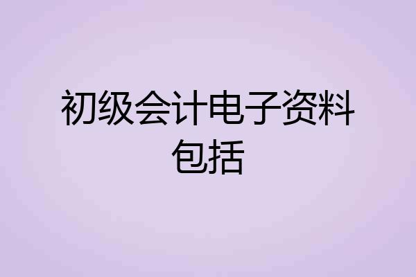 初级会计电子资料包括