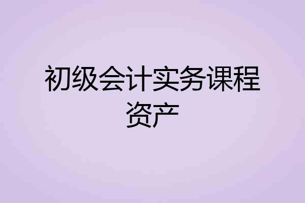 初级会计实务课程资产