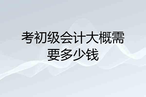 考初级会计大概需要多少钱