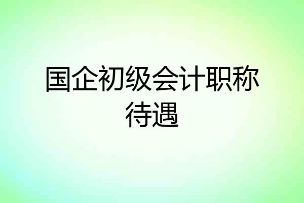 国企初级会计职称待遇