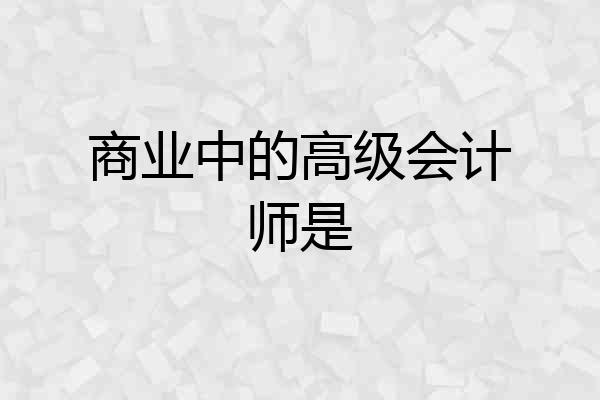 商业中的高级会计师是