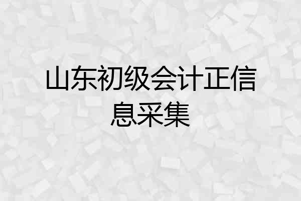 山东初级会计正信息采集