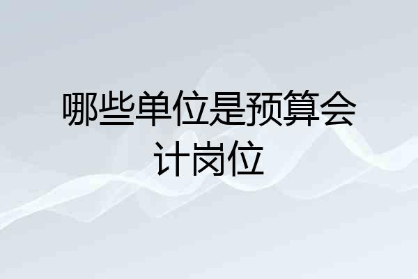 哪些单位是预算会计岗位