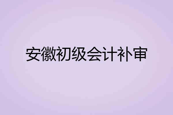 安徽初级会计补审