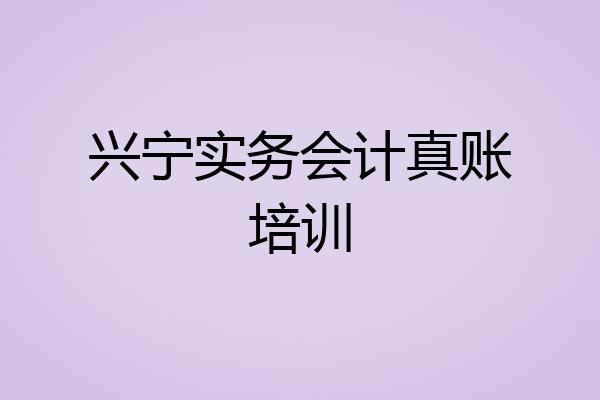 兴宁实务会计真账培训