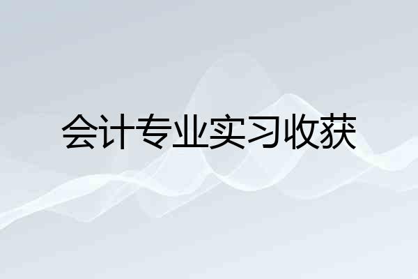 会计专业实习收获