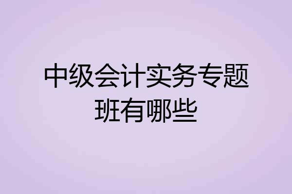 中级会计实务专题班有哪些