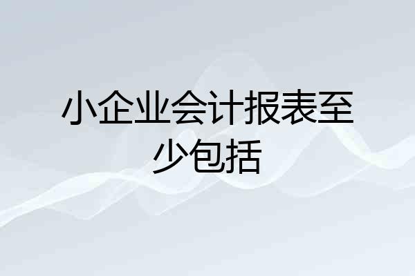 小企业会计报表至少包括